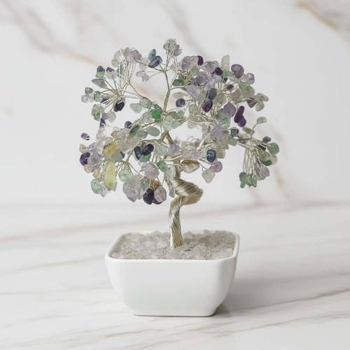 Fluorit kristall baum - baum, –